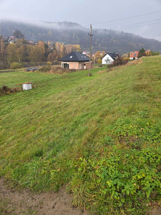 Działka budowlana nad dunajcem