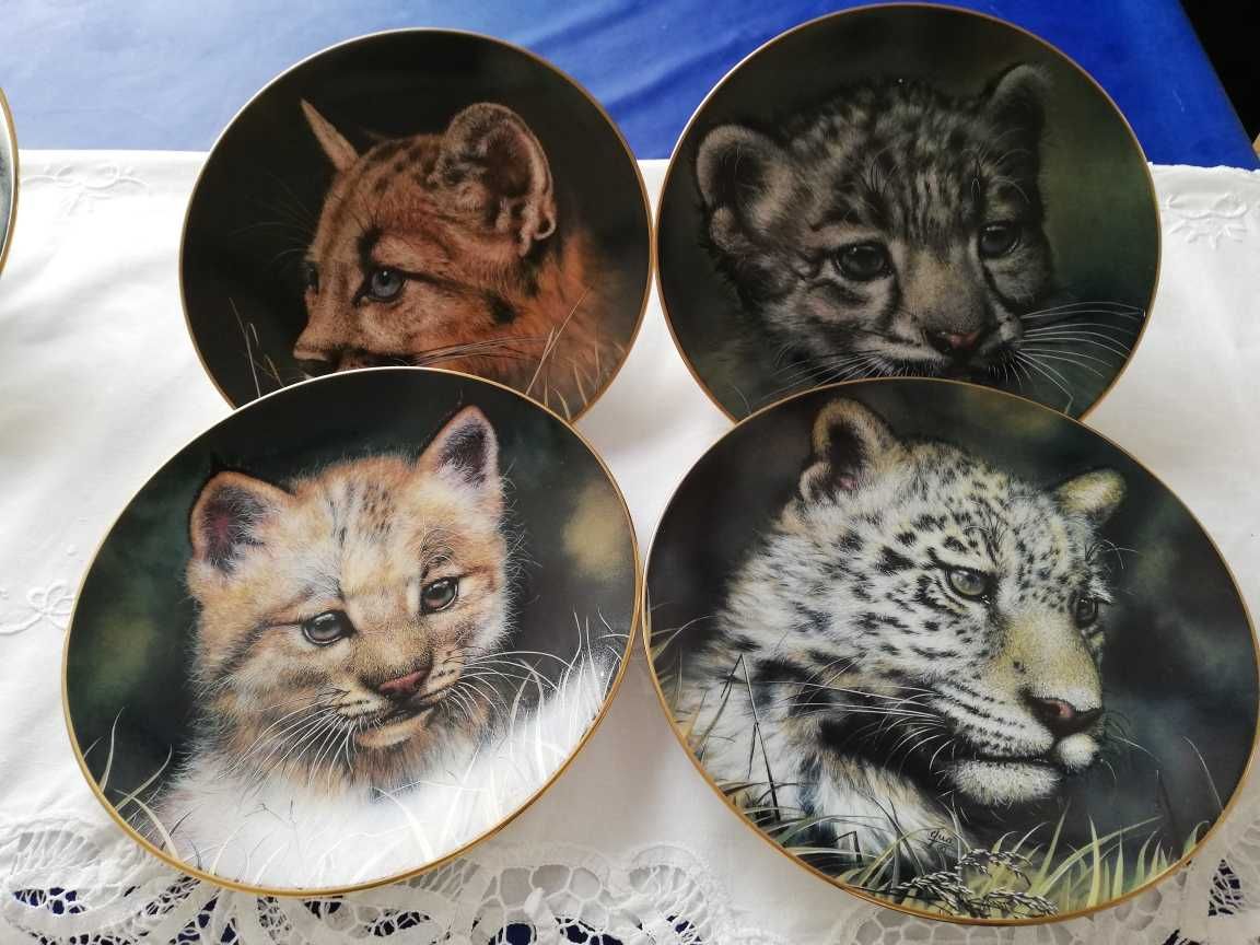 conjunto da  princeton gallery jaguar cubs