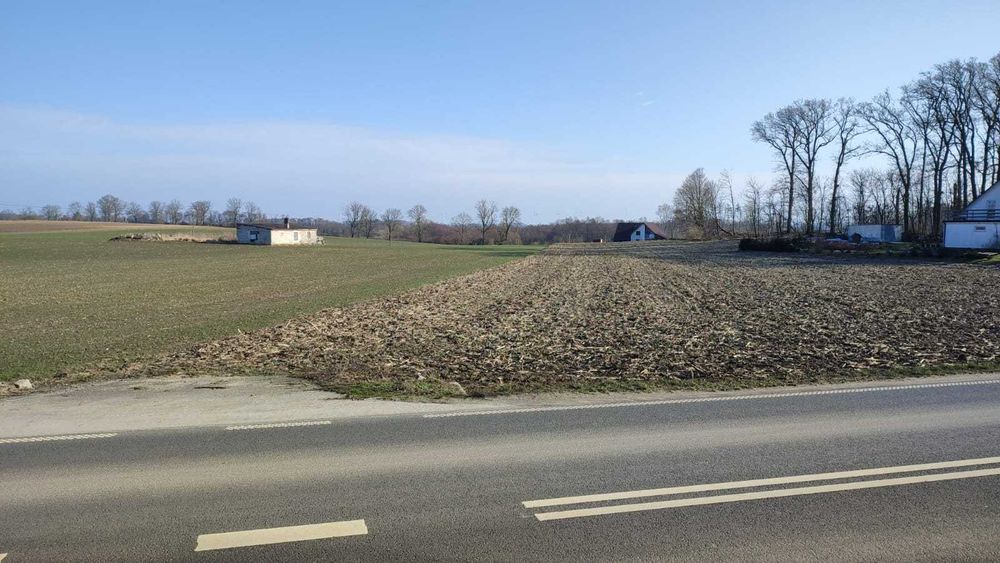 Działka budowlana, Zakrzewo, gmina Radzyń Chełmiński, 50 zł/m2