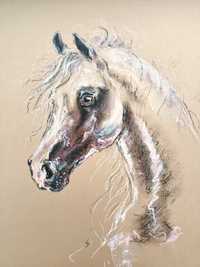 Obraz - Koń arabski, pastela