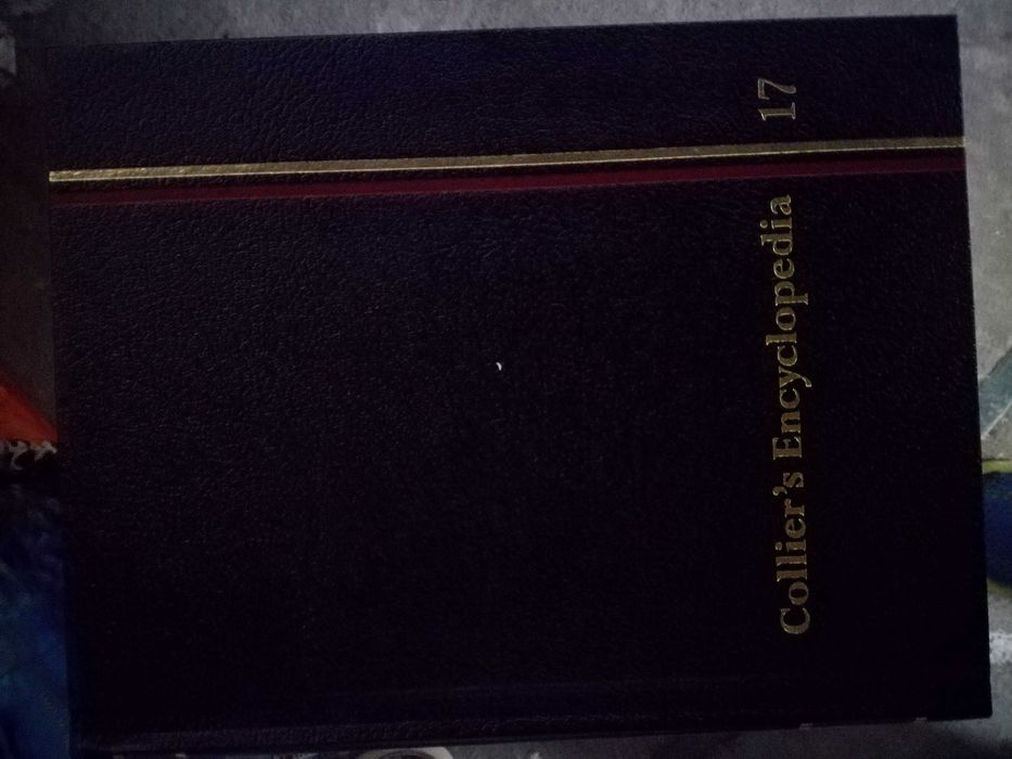 Lote 31 Collier's encyclopedia