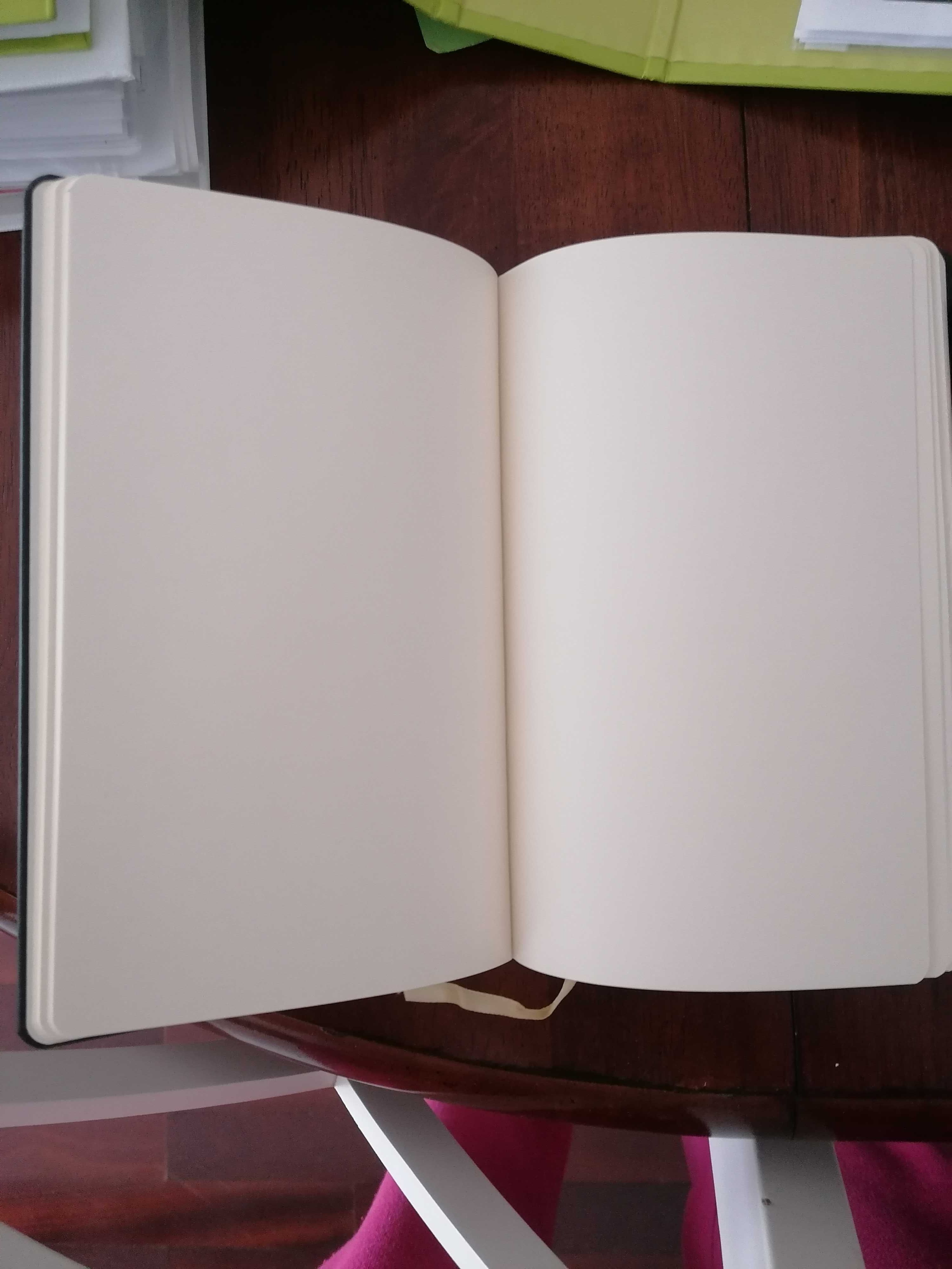 Nick Cave Caderno 20000 Days on Earth