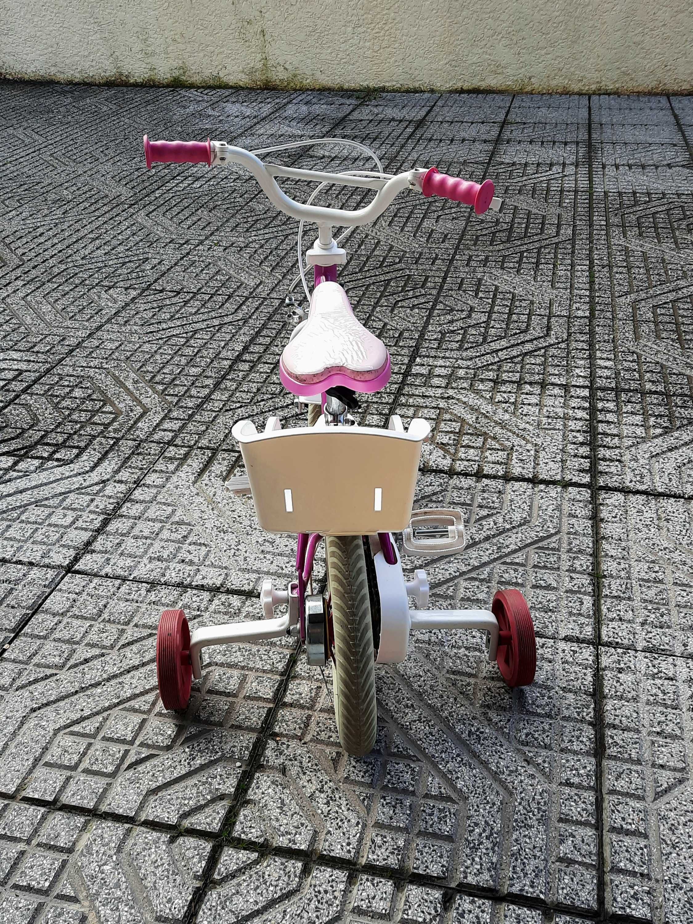 Bicicleta Sky, da Patrulha Pata aro 14