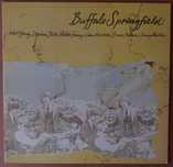 Discos de vinil usados - Velvet Underground, Buffalo Springfield, etc.