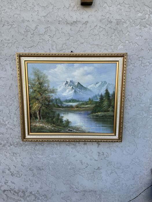Quadro medio de uma paisagem na montanha