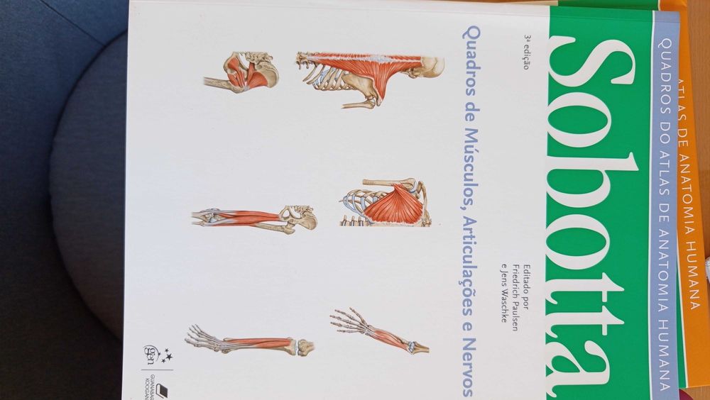 Sobotta -Atlas Anatomia Humana