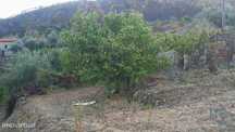 Terreno em Montes da Senhora de 4250,00 m2