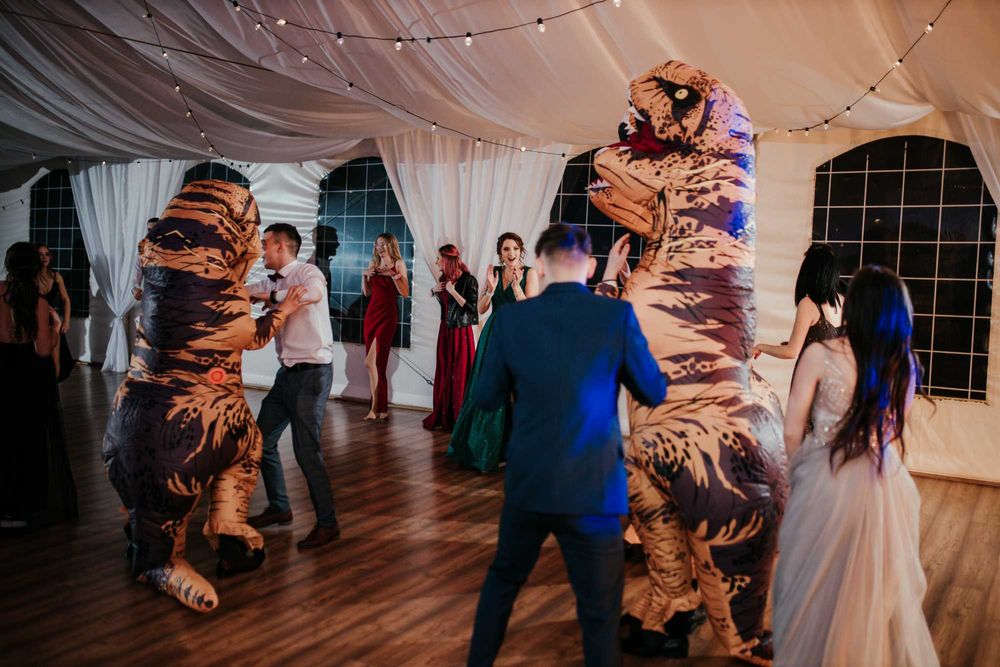 DJ / Wodzirej na wesele