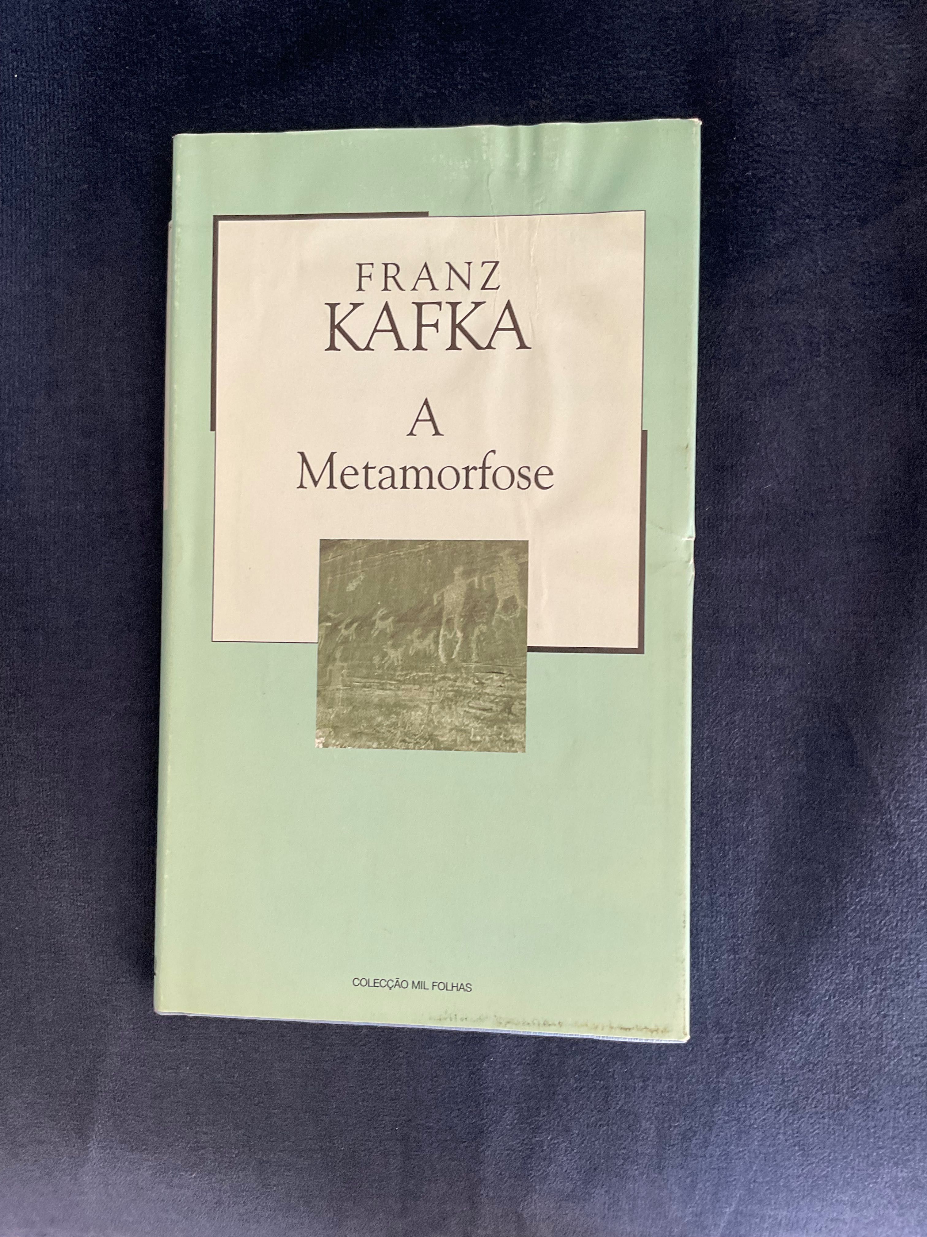 A Metamorfose de Franz Kafka