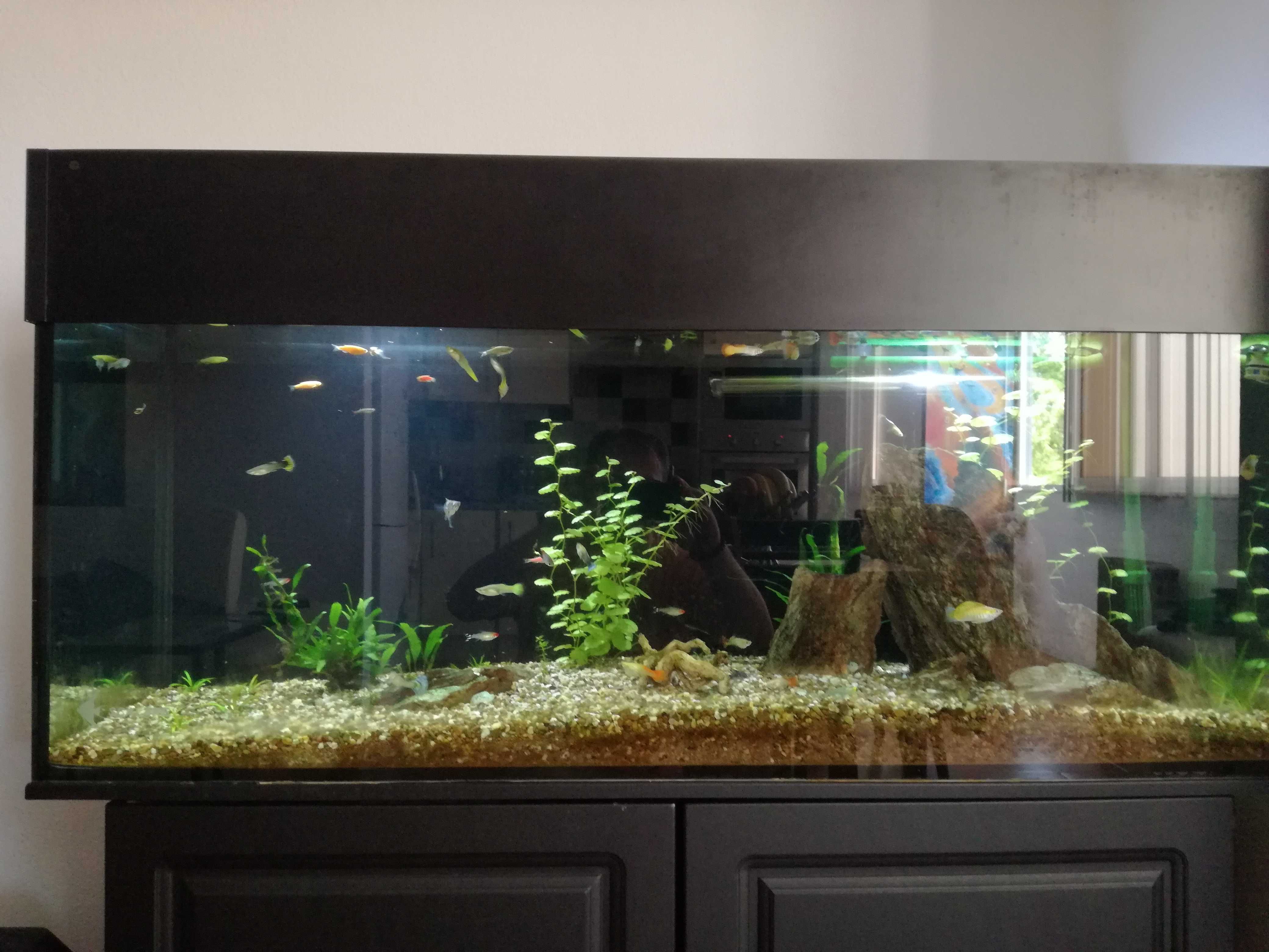 Vendo aquário 1200x500x400mm
