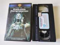 Kaseta VHS Królowa Potępionych - Horror na VHS