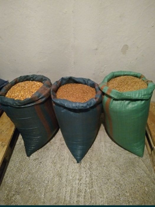 Pszenica 25kg zboże