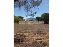 Terreno praticamente plano junto ao Hotel Conrad e Quinta shopping
