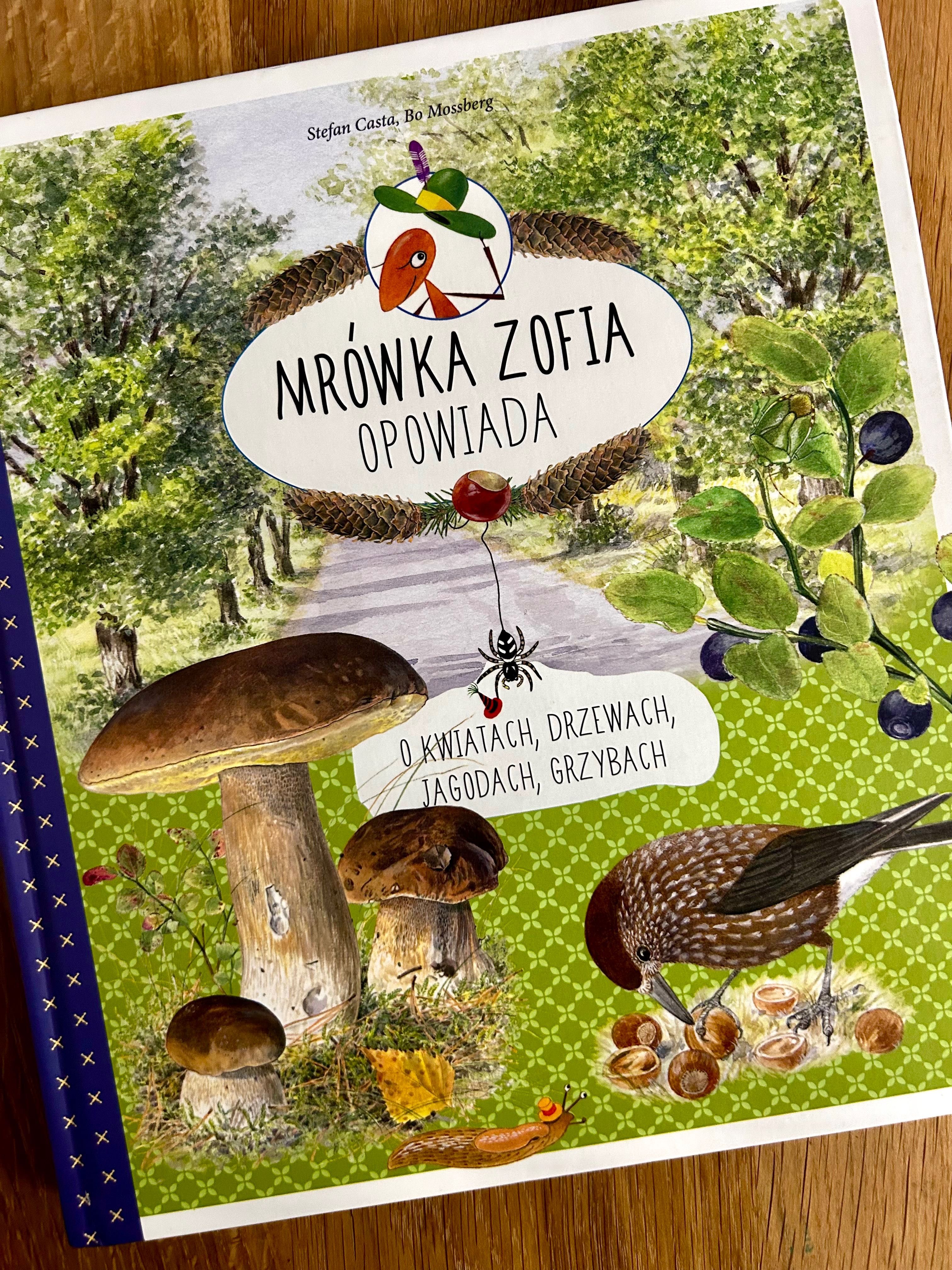 Mrówka Zofia opowiada