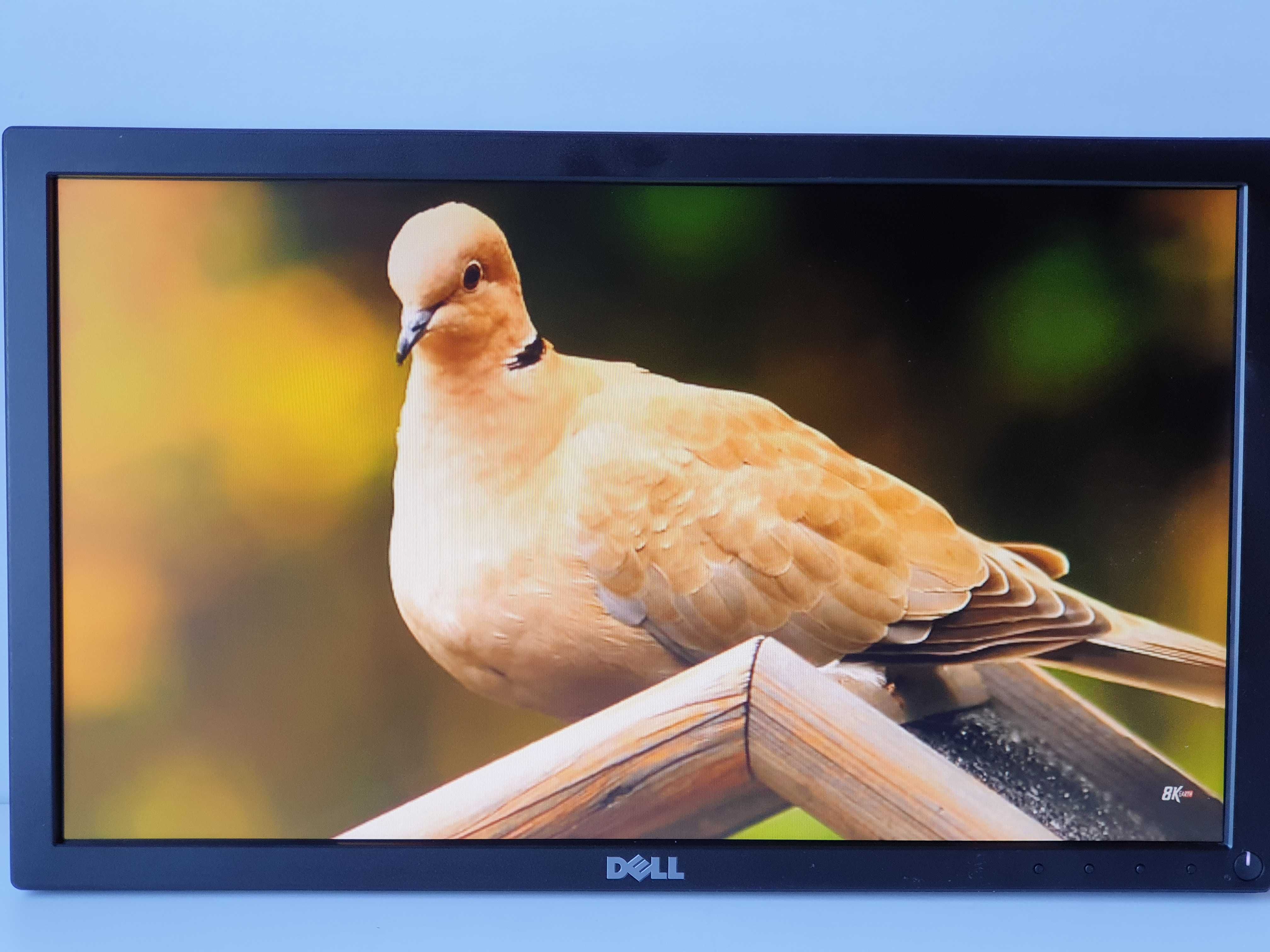 Монітор 19" Dell E1916He + комплект displayport /VGA