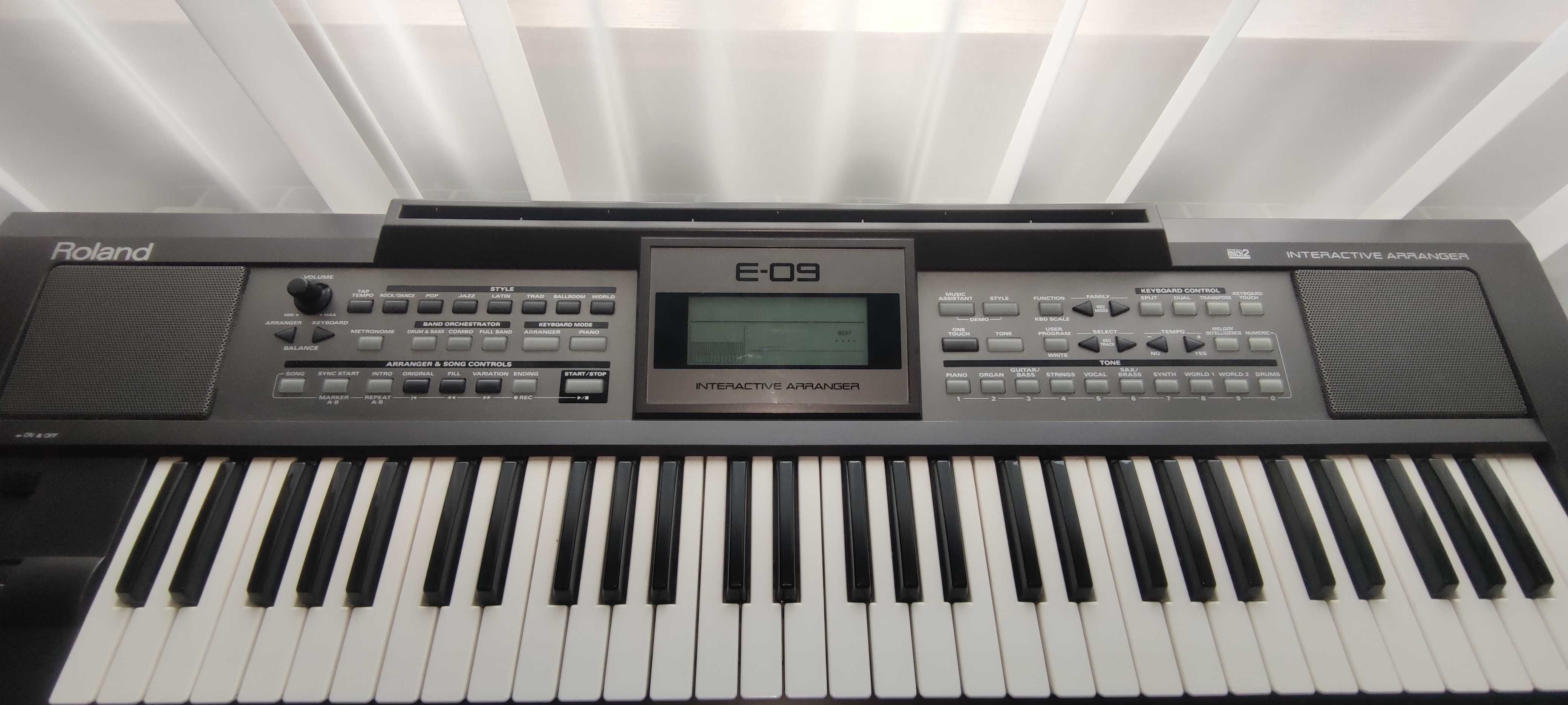 Keyboard Roland E-09