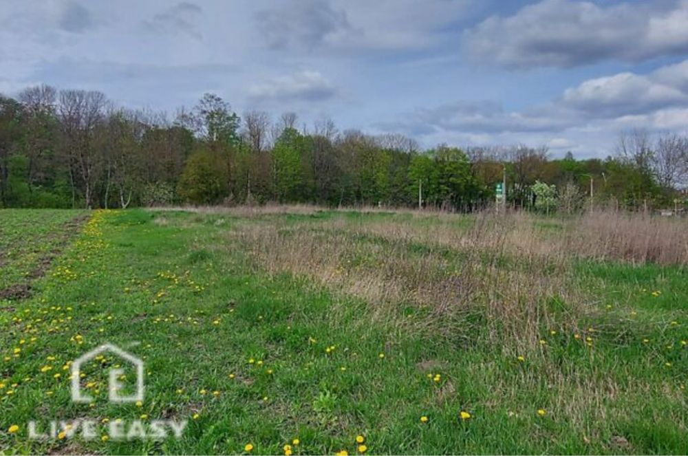 Продаж земельної ділянки в с. Велика Березовиця