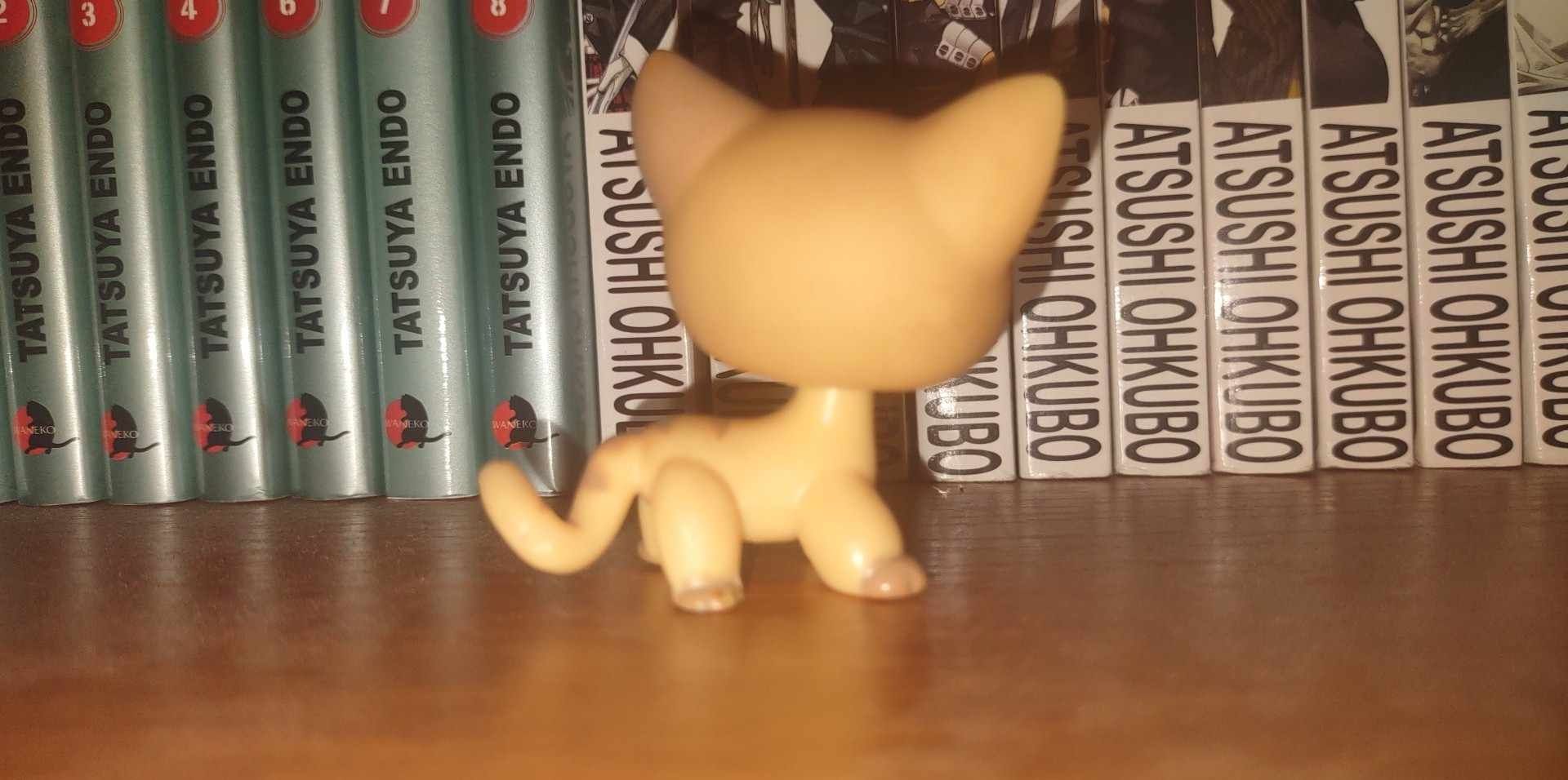 Kotek shorthair lps littlest pet shop #886 oryginalny