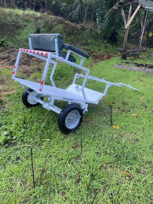 Charrete para pónei