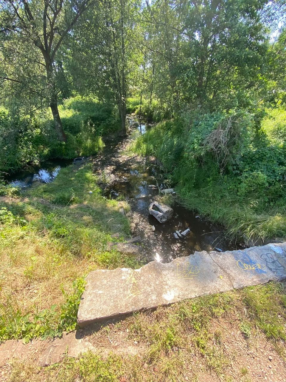 Faszynowanie Stawów / Cieków Wodnych / Palisady / Gambiony