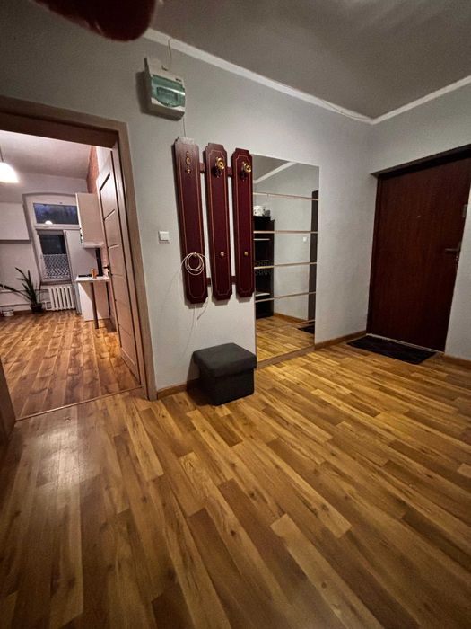 Mieszkanie do wynajecia.