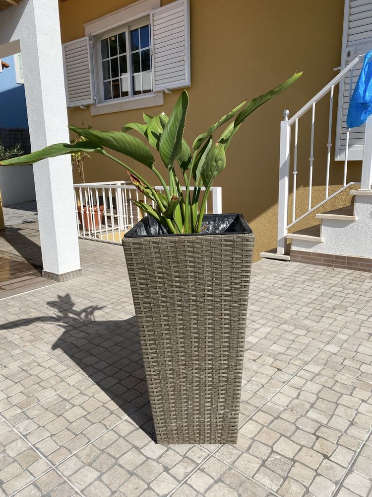 Vaso exterior estilo verga