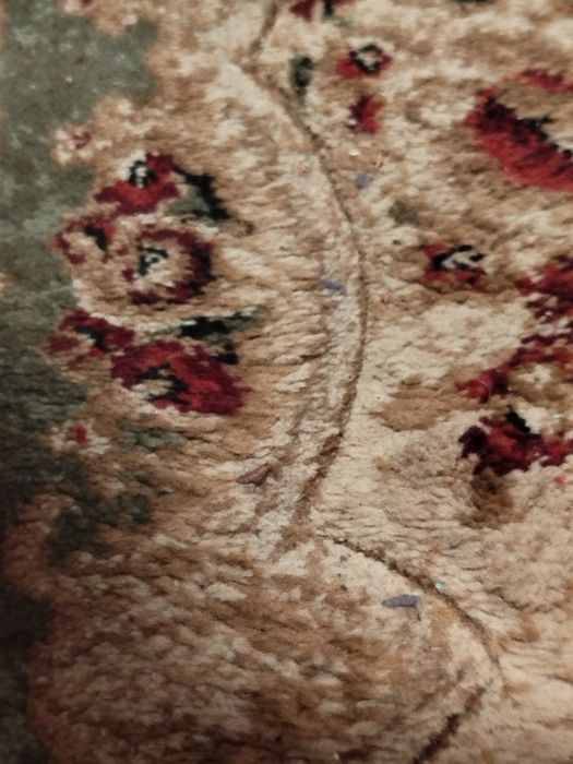 Nowy chodnik wełniany