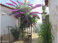 Moradia T4 com quintal em Casa Branca