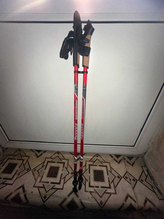 Продам палиці для скандианвської ходьби і чобітки для них