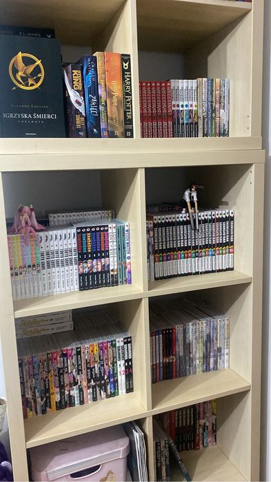 Mangi kolekcja (opis)