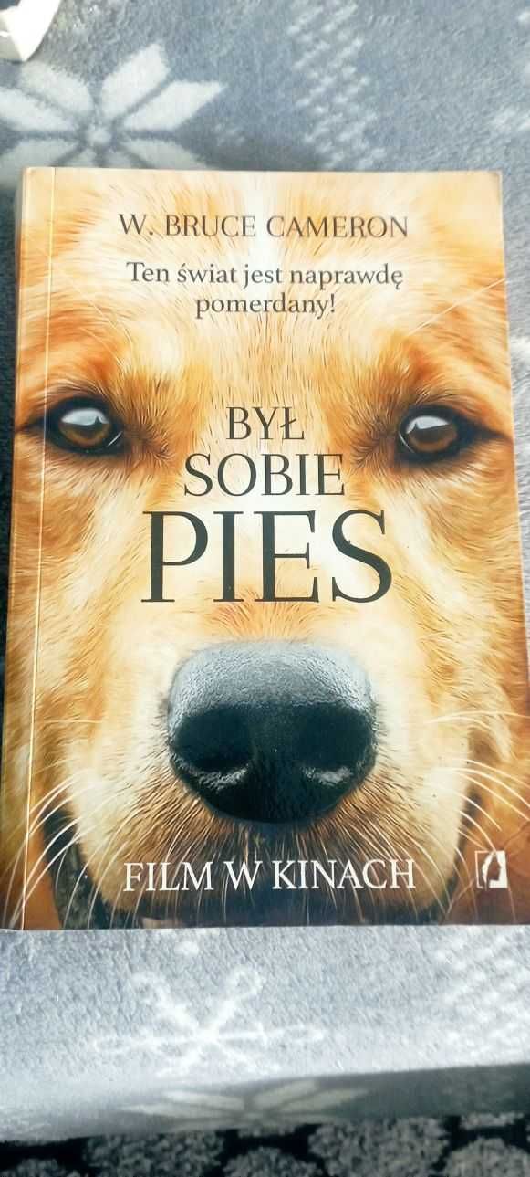 Był sobie pies – wzruszająca opowieść