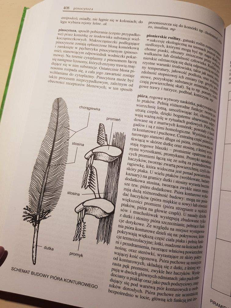 Encyklopedia biologia