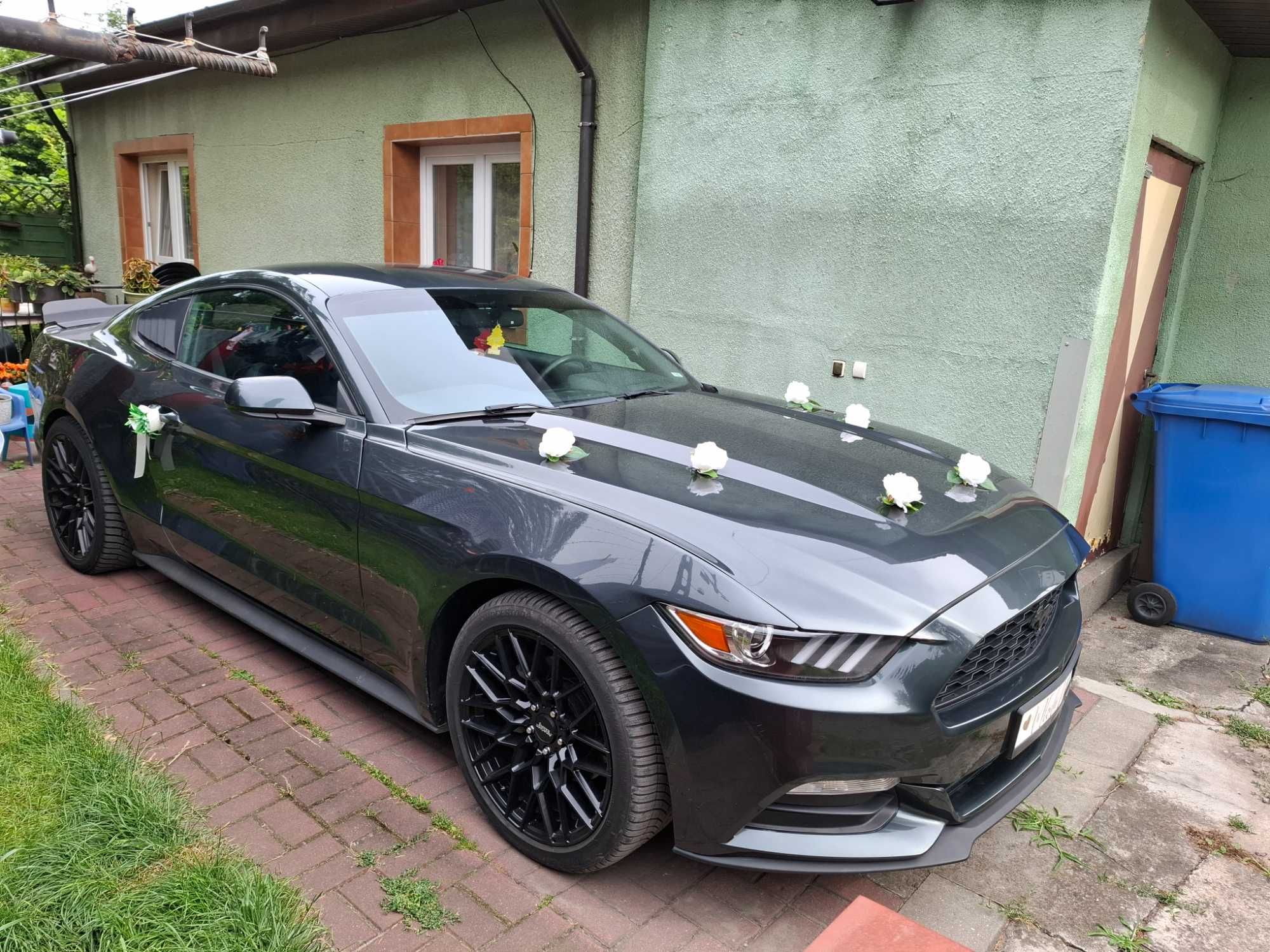 Wynajem!Mustang do ślubu,filmu,teledysk!