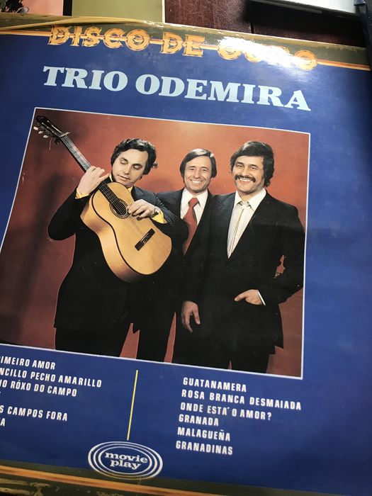 Disco de vinil trio odemira