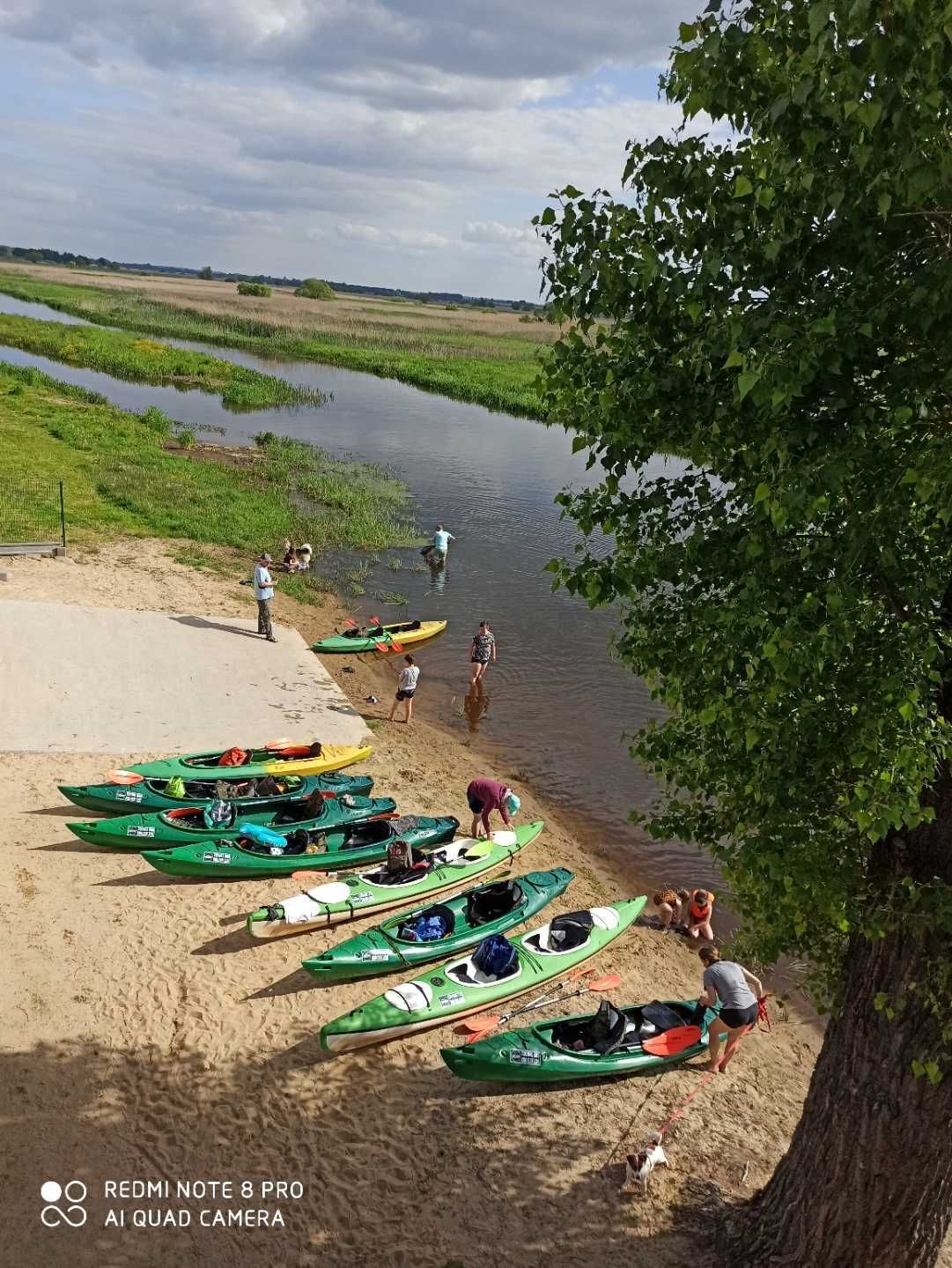 Wypożyczalnia kajaków, Spływy kajakowe rzeką Narew, Kajakiem po Narwi