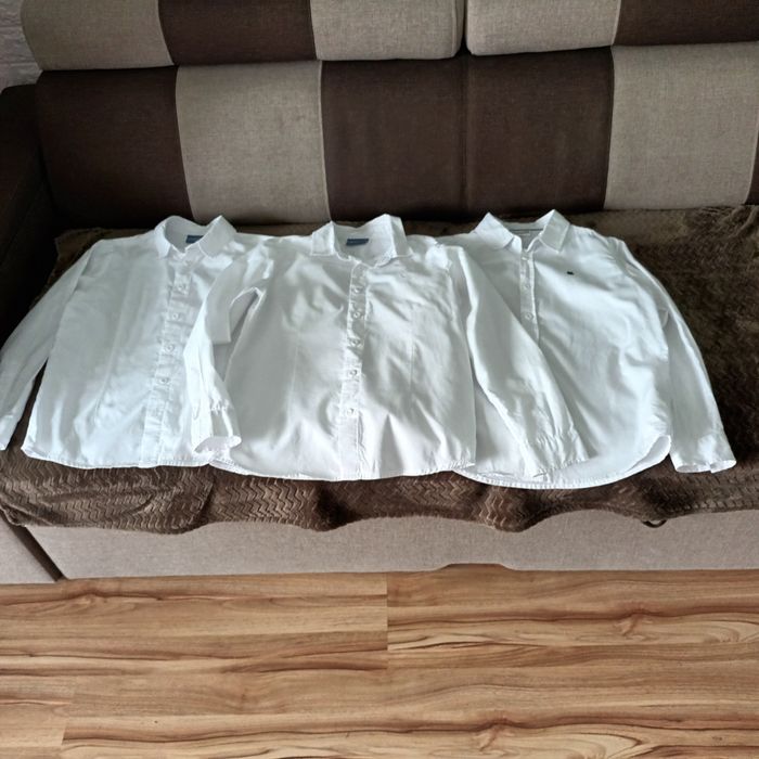 Koszule cocodrillo 140