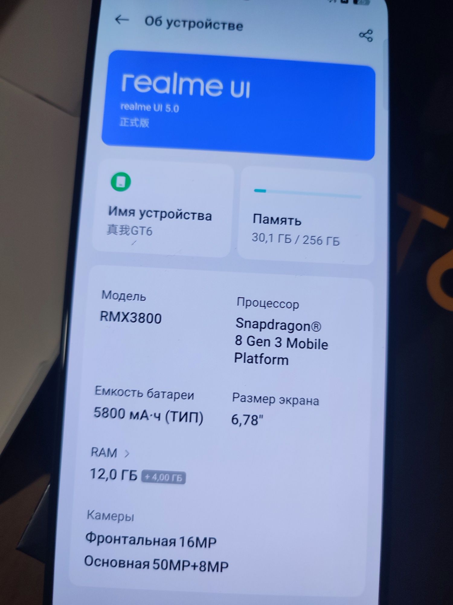 Мобільний телефон Realme GT 6 12/256