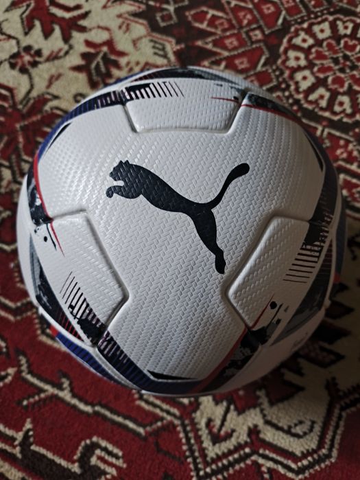 М'яч футбольний Puma EFL ( професійний )