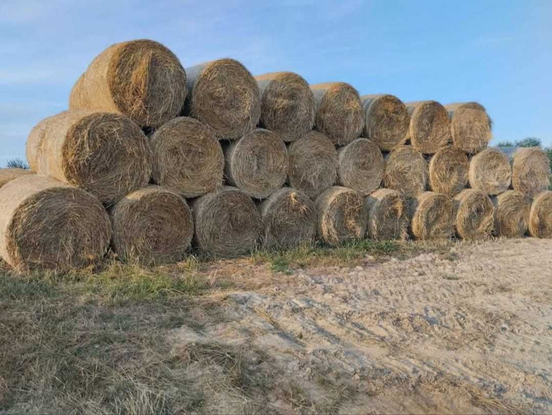 Słoma bale słomy