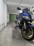 Suzuki SV 1000  spor