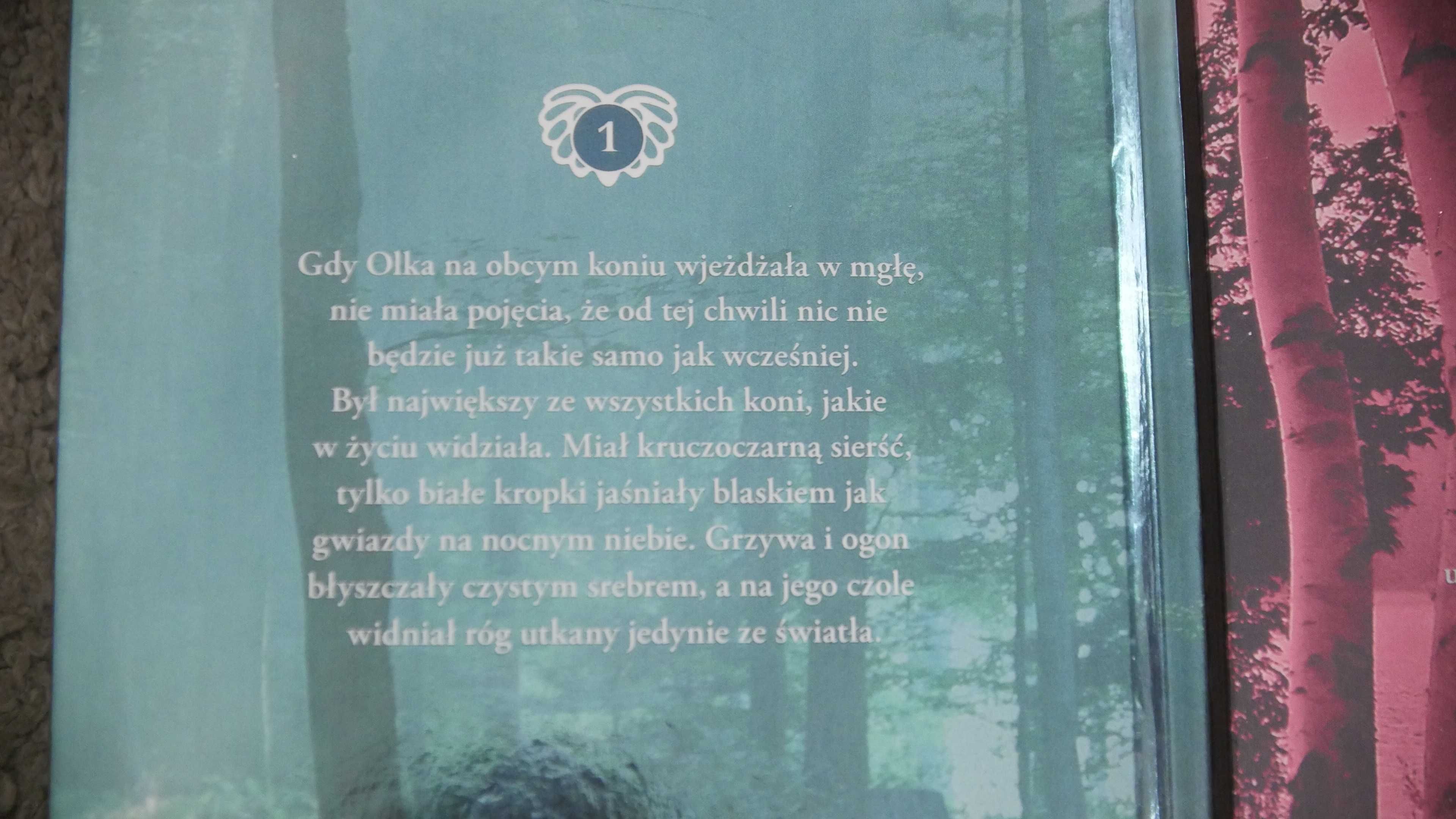 "Przez most we mgle" "Białe siostry" "Rozbite miasto" - A.Vollenbruch
