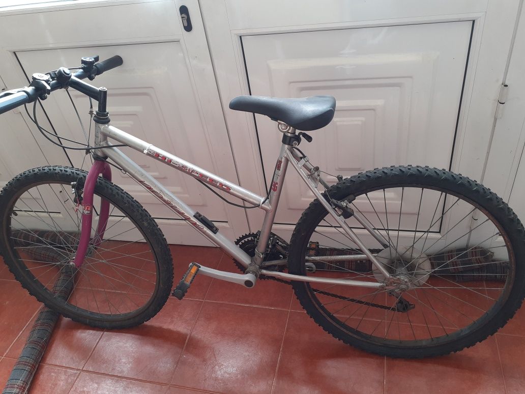 Bicicleta rosa e cinza