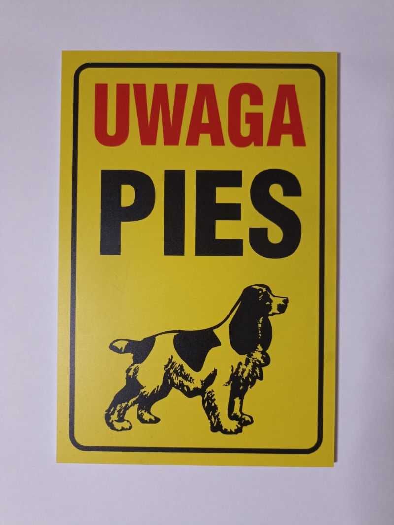 Tabliczka "uwaga pies" PCV