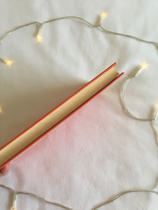 Livro O Salário do Medo - portes incluídos