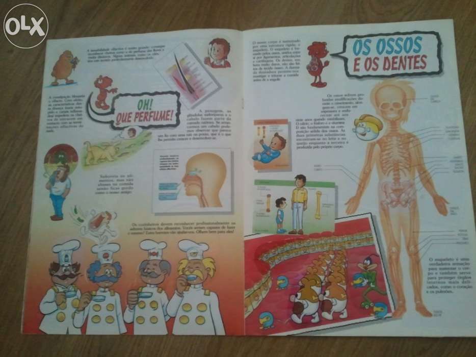 Coleção de cromos: era uma vez... o corpo humano