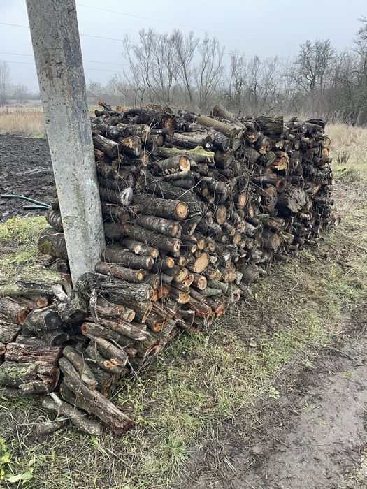 Продам дрова слива, вишня, яблуня