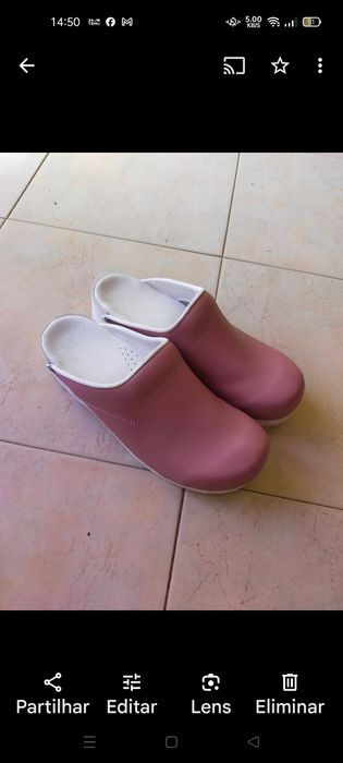 Socas novas holandesas