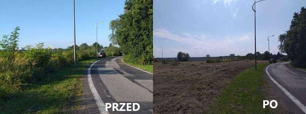 Mulczer Karczowanie Czyszczenie terenu działki Rekultywacja Wycinanie