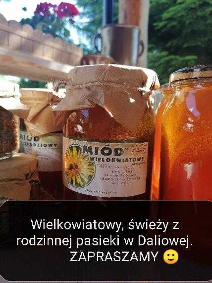 Miód wielokwiatowy z ekologicznej pasieki 500 ml /40zl