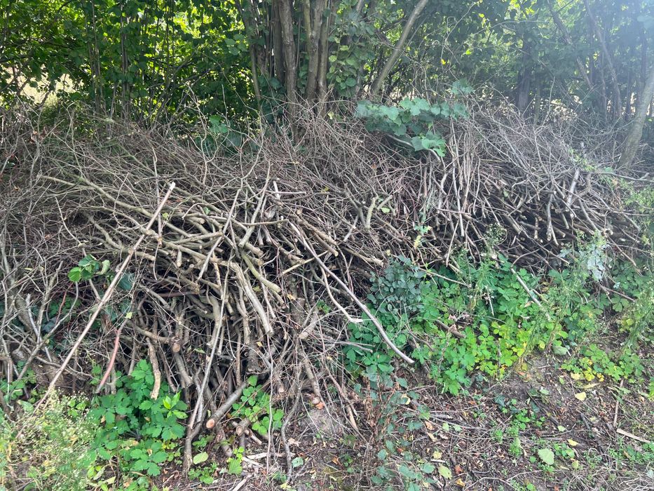 Oddam Chrust suche gałęzie